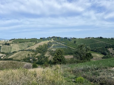 Foto Terreno agricolo in VIA AGELLO, Brisighella in vendita