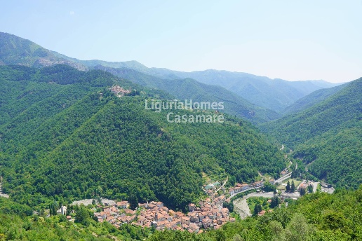 immagine annuncio 4 di 9