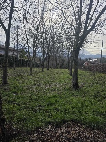 Foto Terreno agricolo in via pedemontana, Palestrina Centro di 2500 m²