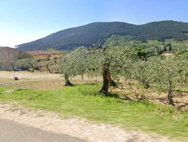 Foto Villa a schiera a Buti di 900 m² con 40 locali in vendita