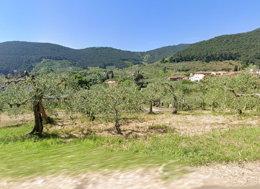 immagine annuncio 1 di 3