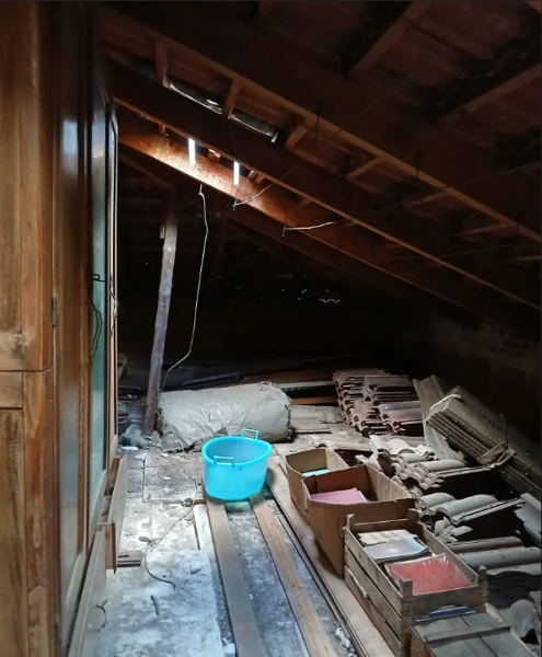 immagine annuncio 2 di 4