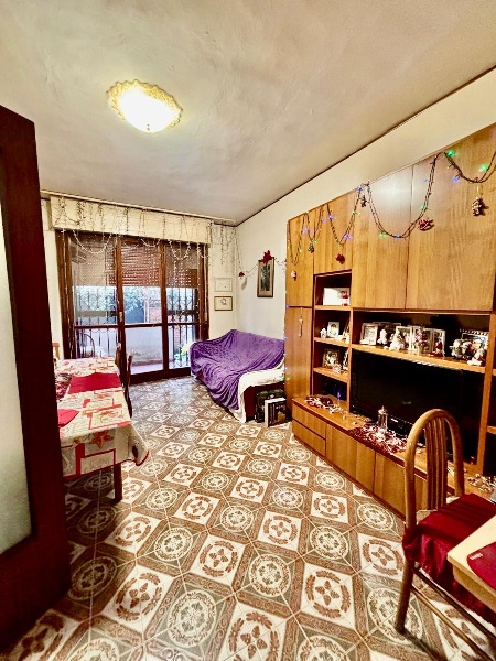 immagine annuncio 4 di 14