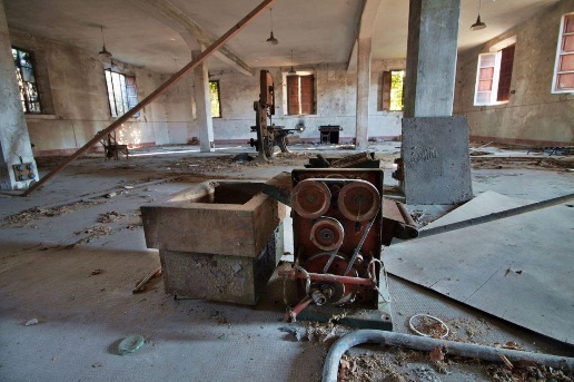 immagine annuncio 1 di 8