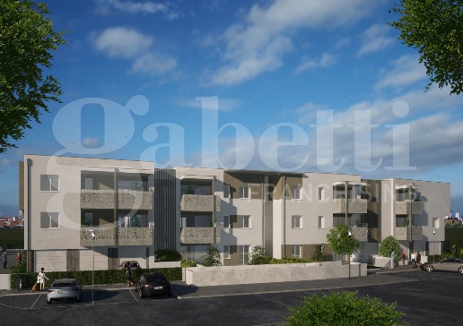 immagine annuncio 0 di 15