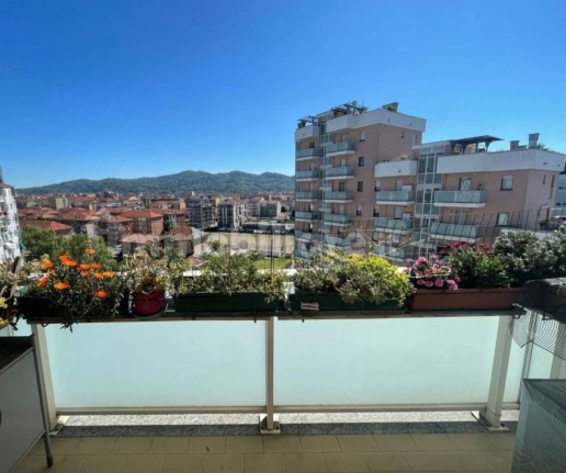 immagine annuncio 4 di 12