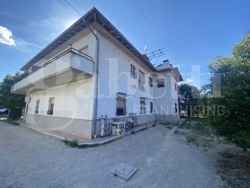 immagine annuncio 4 di 6