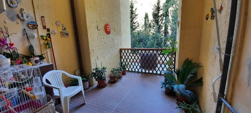 immagine annuncio 3 di 9