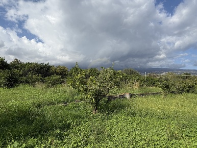 Foto Terreno agricolo in via Ugo Foscolo snc, Giarre Centro di 5000 m²
