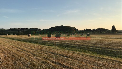 Foto Appartamento a Collesalvetti di 75 m² in affitto