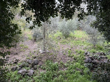 Foto Terreno edificabile a Acireale San Cosmo, Corso Italia, Piazza Dante