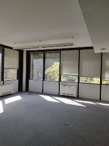 Foto Ufficio a Roma Torrino con 11 locali in affitto