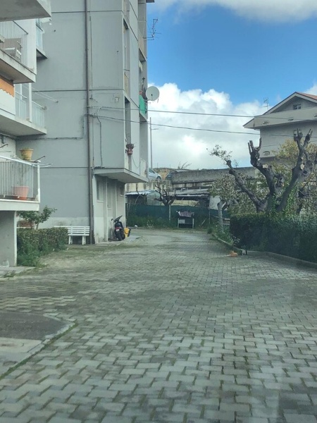 immagine annuncio 5 di 9