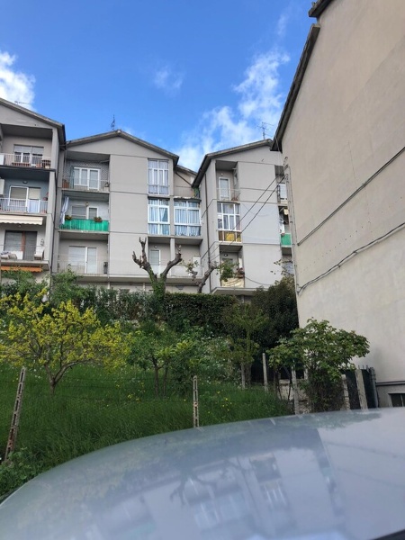 immagine annuncio 6 di 9