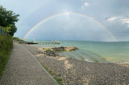 Foto Appartamento a Moniga del Garda di 205 m² con 4 locali in vendita