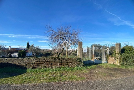 Foto Terreno agricolo in Strada Morello snc, Viterbo Teverina di 12000 m²