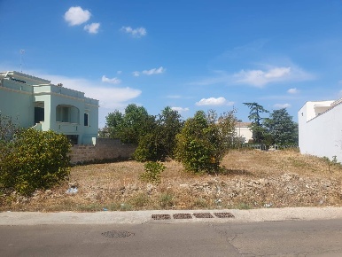 Foto Terreno residenziale a Montesano Salentino di 1315 m² in vendita