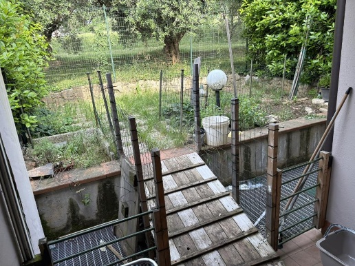 immagine annuncio 1 di 8