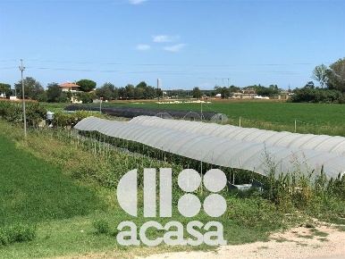 Foto Terreno agricolo a Cesenatico Villamarina Monte di 11806 m² in vendita