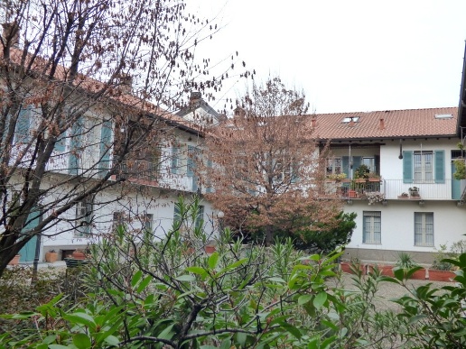 immagine annuncio 11 di 12