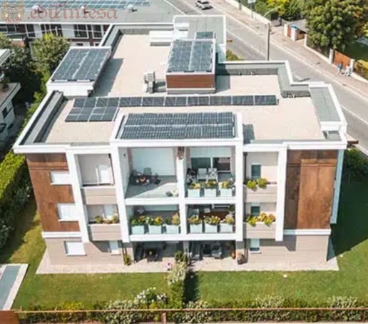 immagine annuncio 1 di 14