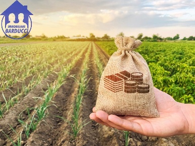 Foto Terreno agricolo in Via Giuseppe Dossetti, Gatteo Gatteo Sant'Angelo
