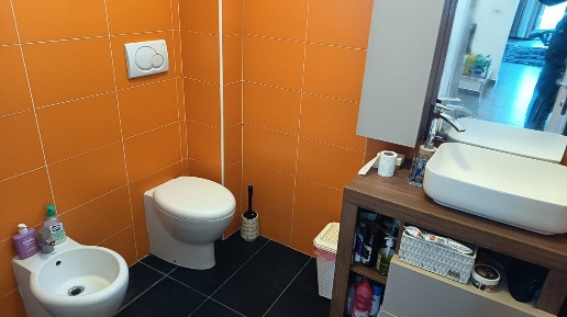 immagine annuncio 5 di 11