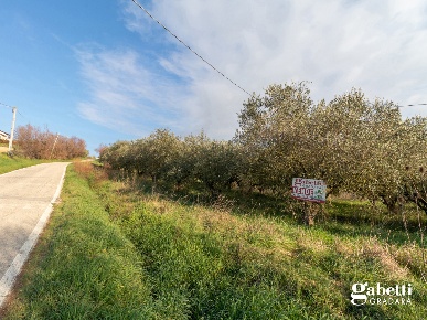 Foto Terreno agricolo in Via Montelupo di Sotto snc, di 7176 m² in vendita
