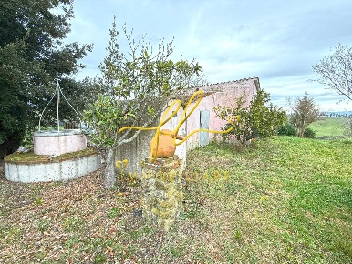 Foto Terreno agricolo a Rosignano Marittimo di 19200 m² in vendita