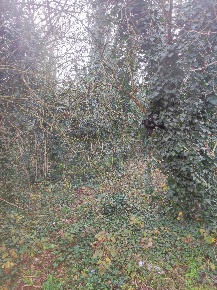 Foto Terreno agricolo in VIA DEI BOSCHI BELLI, Gorla Maggiore di 2200 m²