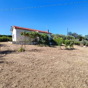 Foto Casa indipendente in Via San Rocco 426, Giuliano Teatino di 80 m²