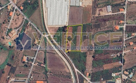 Foto Terreno agricolo in Via Ponte Perito, Fondi Centro di 10000 m²