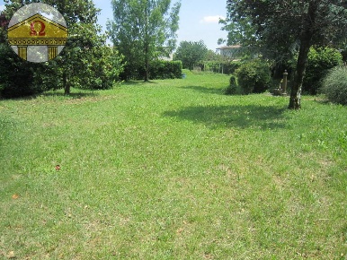 Foto Terreno residenziale a Povegliano di 2000 m² in vendita