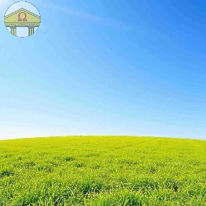 Foto Terreno residenziale a Ponzano Veneto di 2156 m² in vendita