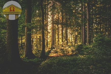 Foto Terreno agricolo a Nervesa della Battaglia di 2500 m² in vendita