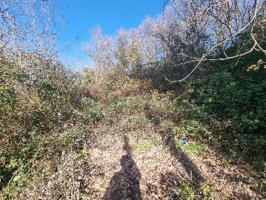 Foto Terreno agricolo in Via sp 18, Montoro Banzano di 5430 m² in vendita
