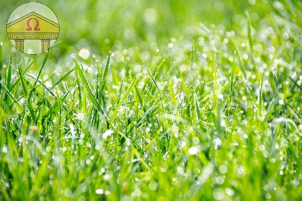 Foto Terreno residenziale a Treviso di 790 m² in vendita