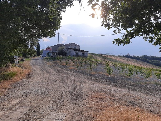 immagine annuncio 7 di 11