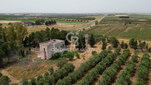 Foto Rustico in Strada Provinciale 111, Veglie di 302 m² con 10 locali