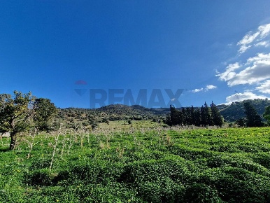 Foto Terreno agricolo in contrada latomie martelluzzo, Castelvetrano