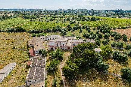 Foto Rustico in Contrada San Vincenzo Snc, Monopoli di 5519 m² in vendita