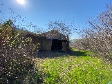 Foto Rustico in Via Domenico Collina snc, Porto San Giorgio di 480 m²