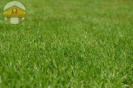 Foto Terreno residenziale a Treviso di 577 m² in vendita