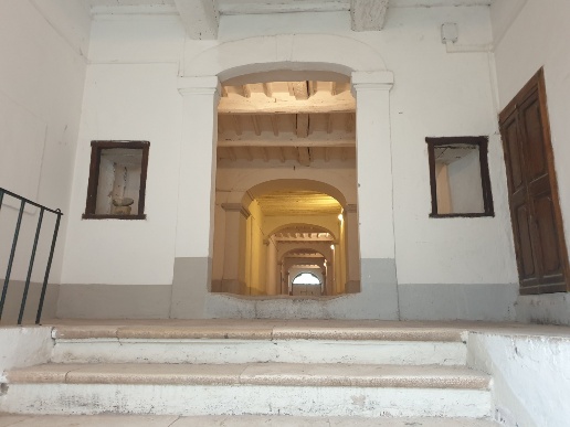 immagine annuncio 0 di 14