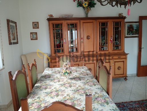 immagine annuncio 0 di 14