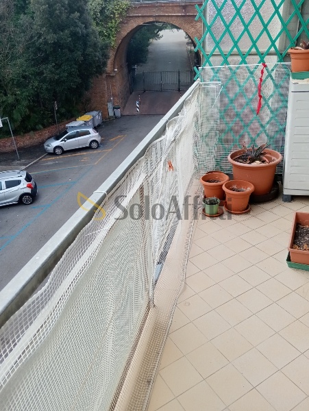 immagine annuncio 2 di 14