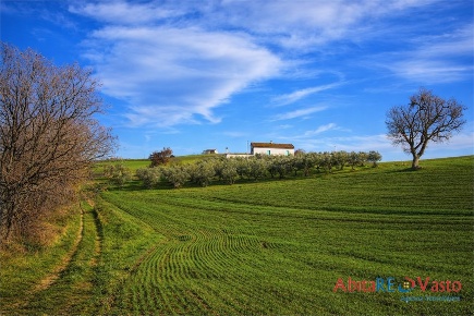 Foto Rustico in Contrada San Biase, Montenero di Bisaccia di 223 m²