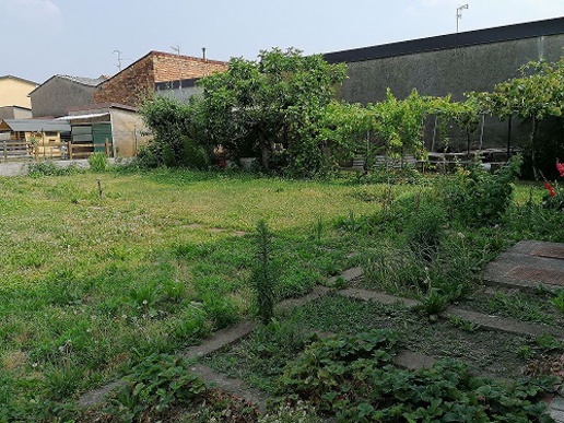 immagine annuncio 10 di 13