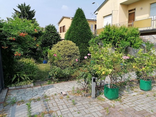 immagine annuncio 12 di 13