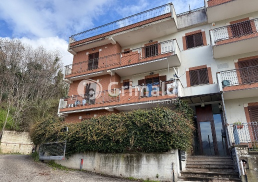 immagine annuncio 6 di 7